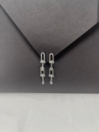 Luxe Silver Earrings